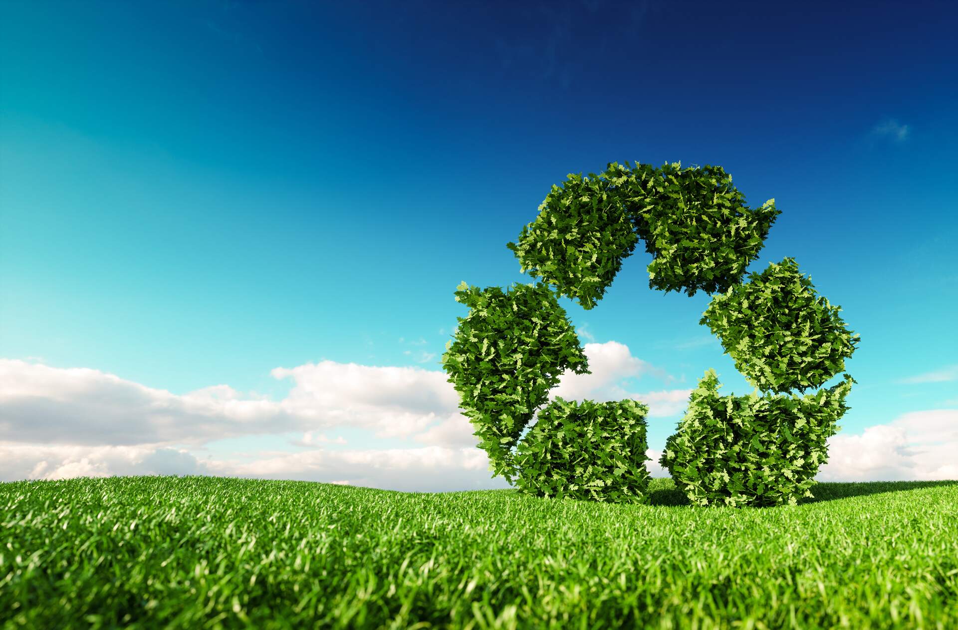 Hardams Recycling operations